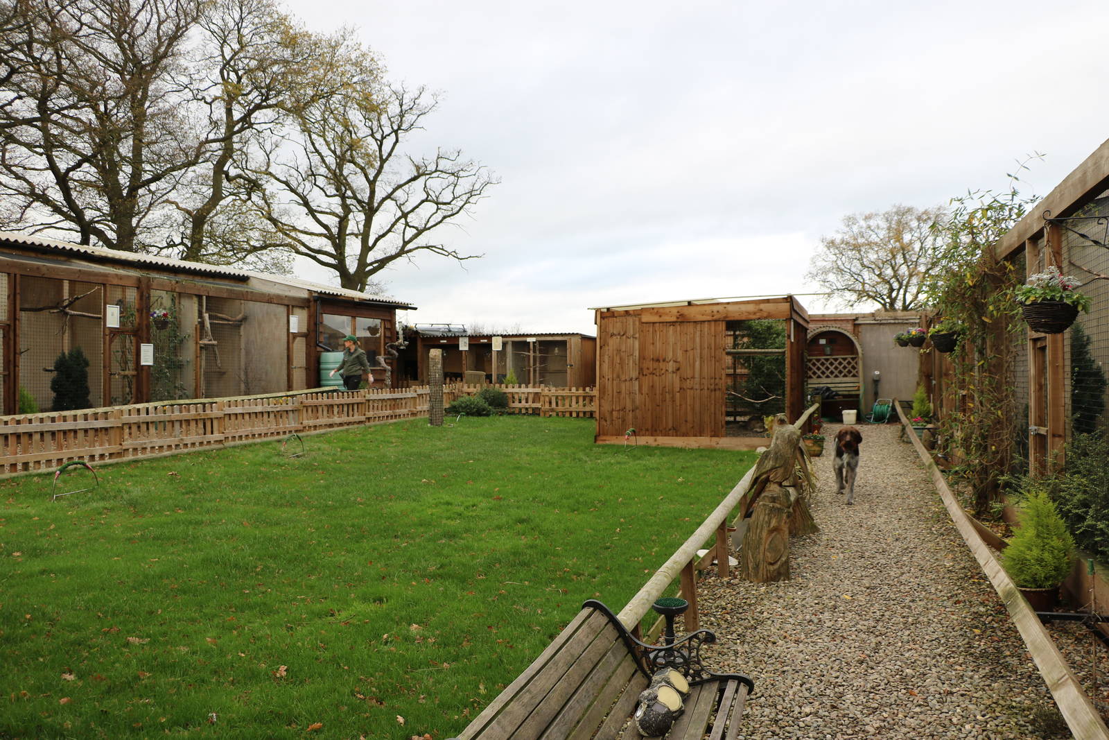 Battlefield Falconry Centre, November 2015