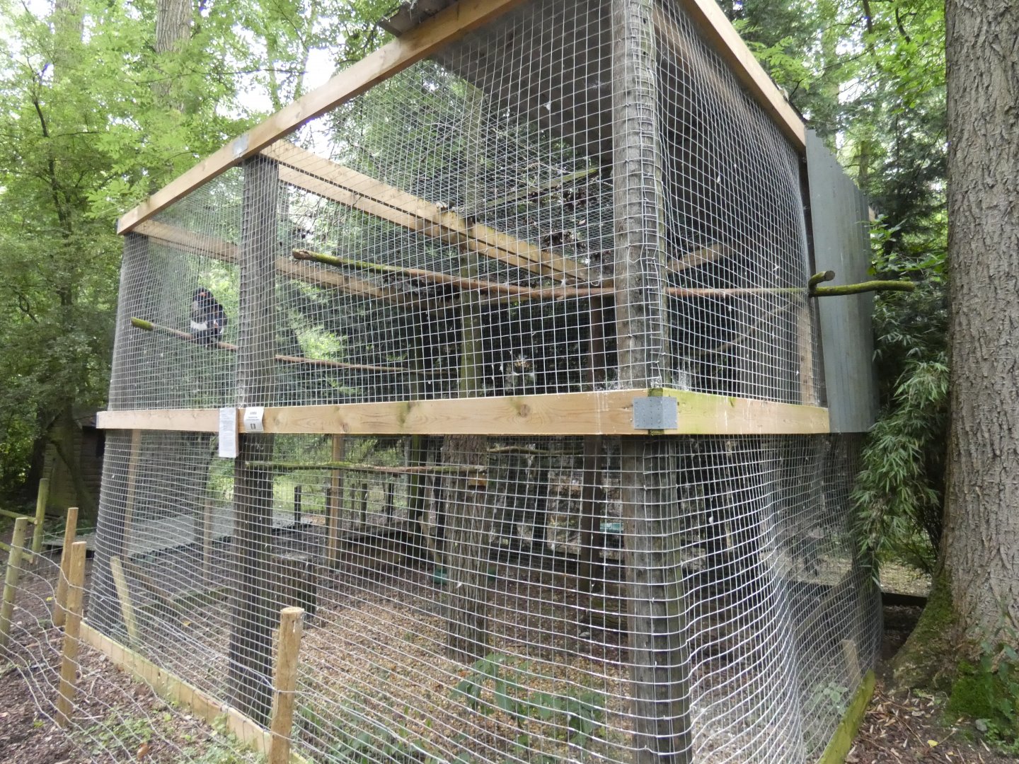 Batuleur eagle aviary (Rutland Falconry Centre)