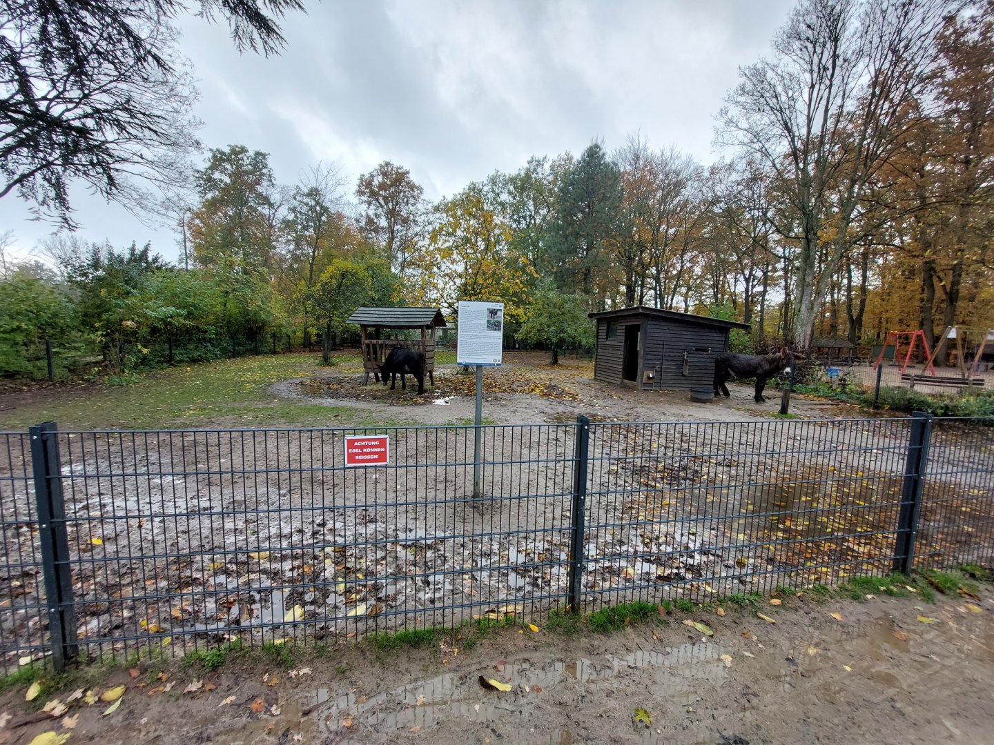 Baudet du Poitou donkey enclosure (Stadtpark Emsdetten)