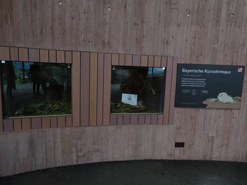 Bavarian vole enclosure (temporarily empty)