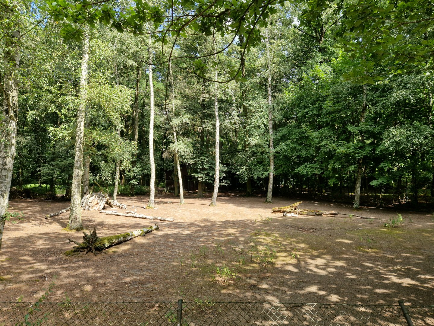 Bawean deer enclosure