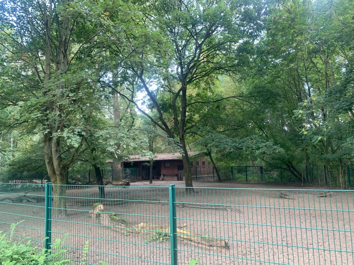 Bawean Deer enclosure