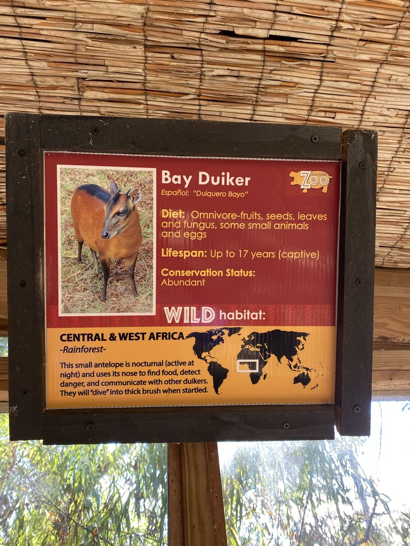 Bay Duiker Signage