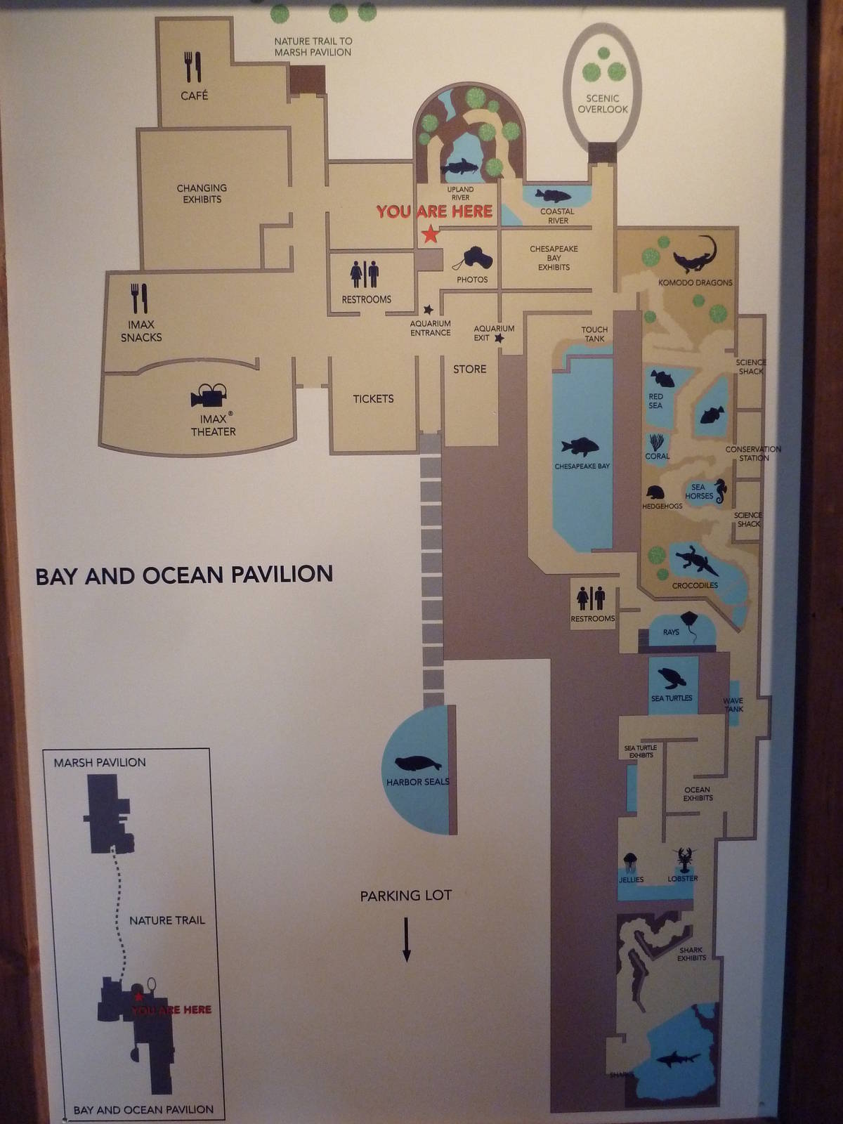 Bay + Ocean Pavilion Map