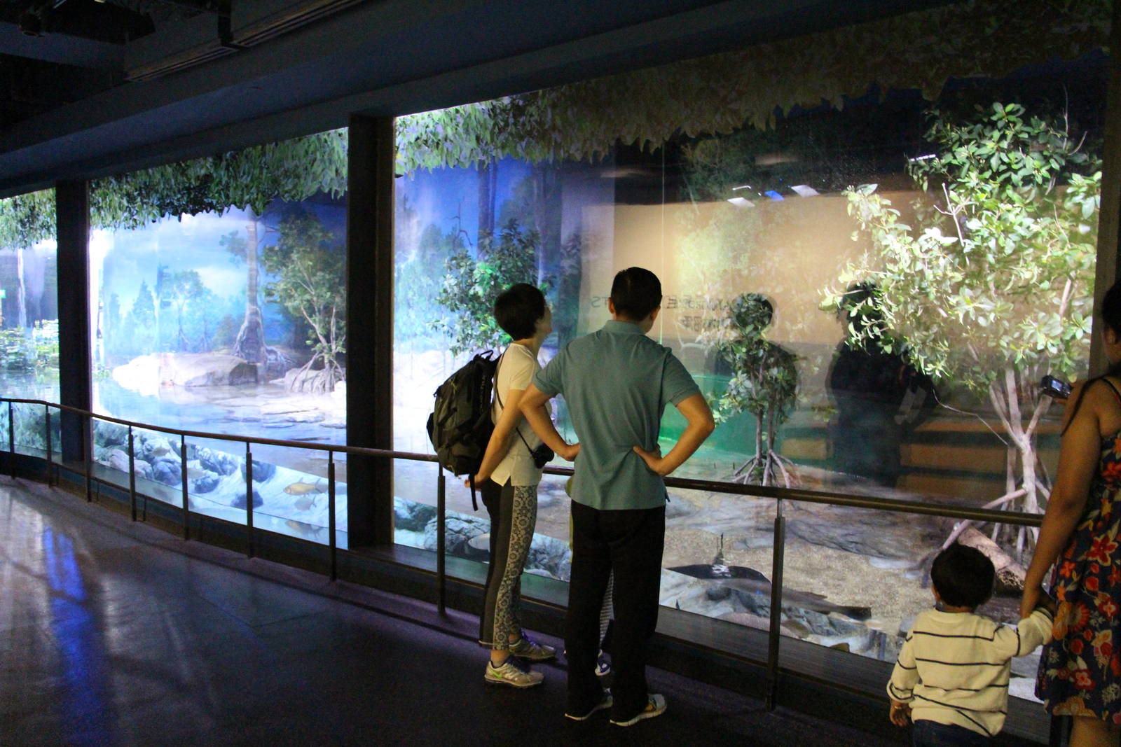 Bay of Bengal and Laccadive Sea - Sundarbans Mangrove