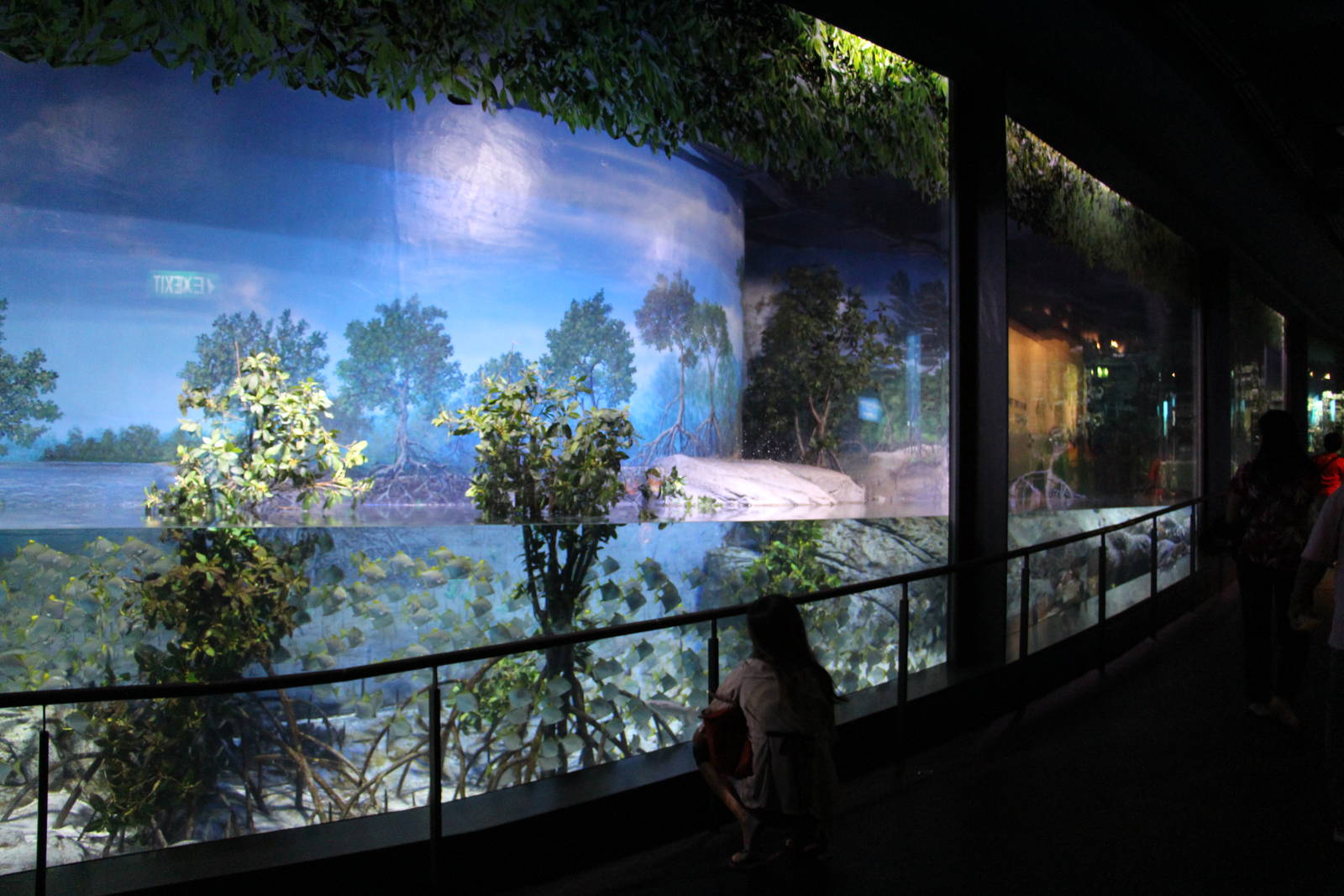 Bay of Bengal and Laccadive Sea - Sundarbans Mangrove