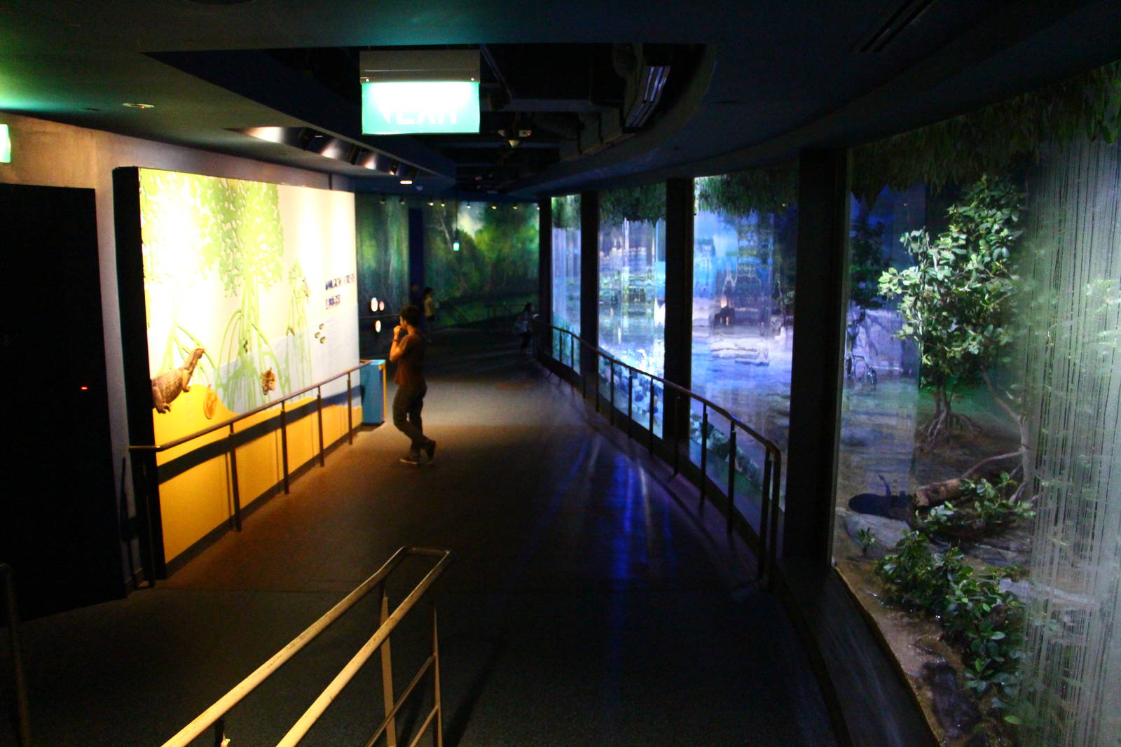 Bay of Bengal and Laccadive Sea