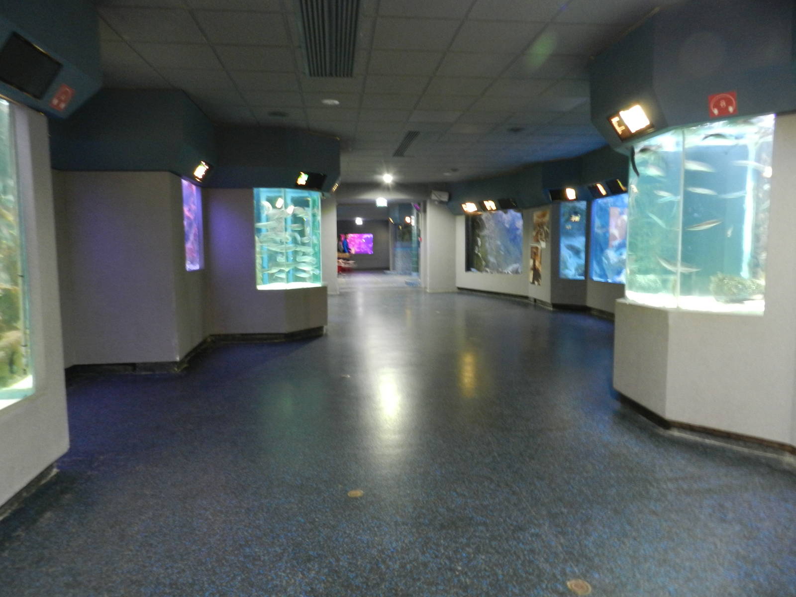 Bay of Biscay aquariums