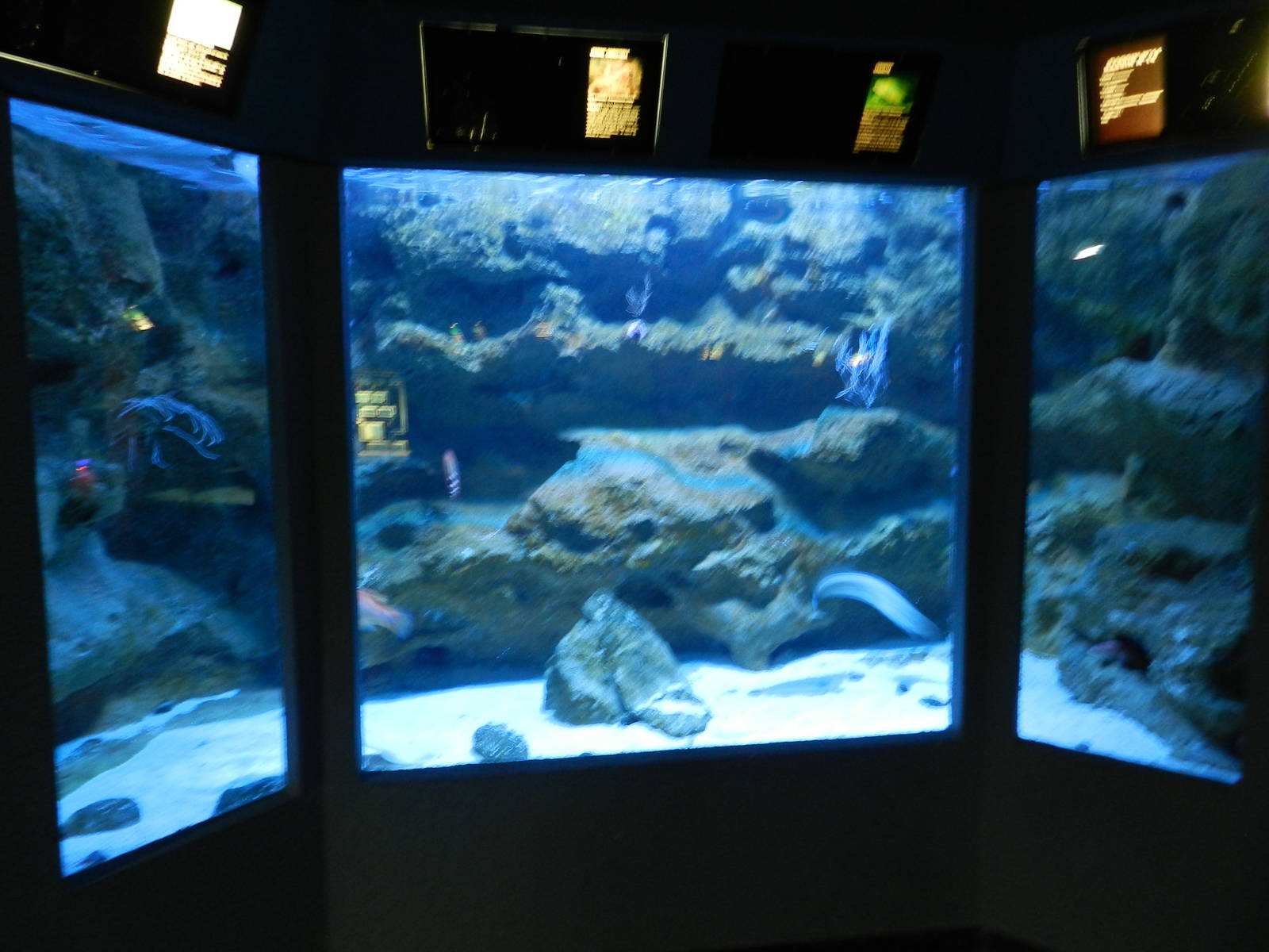 Bay of Biscay aquariums