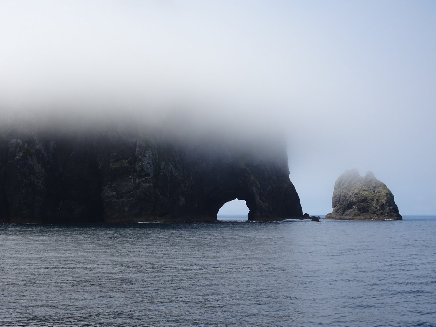 Bay of Islands, New Zealand, November 2015