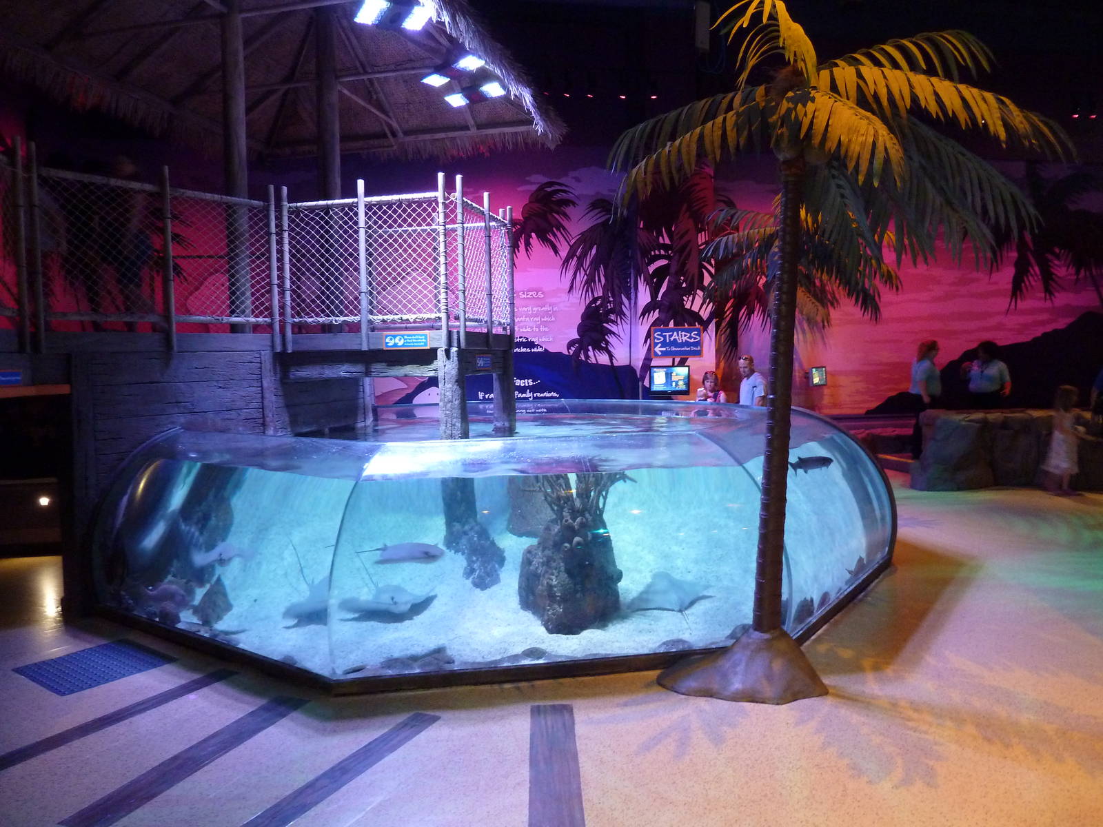 Bay of Rays Exhibit
