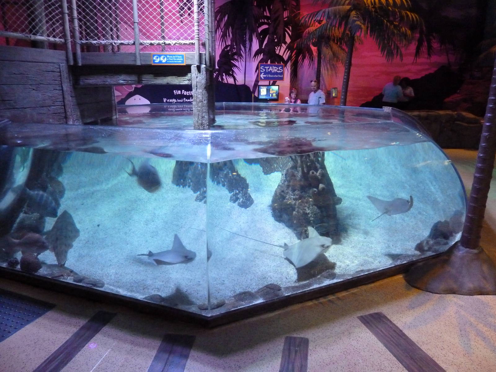 Bay of Rays Exhibit