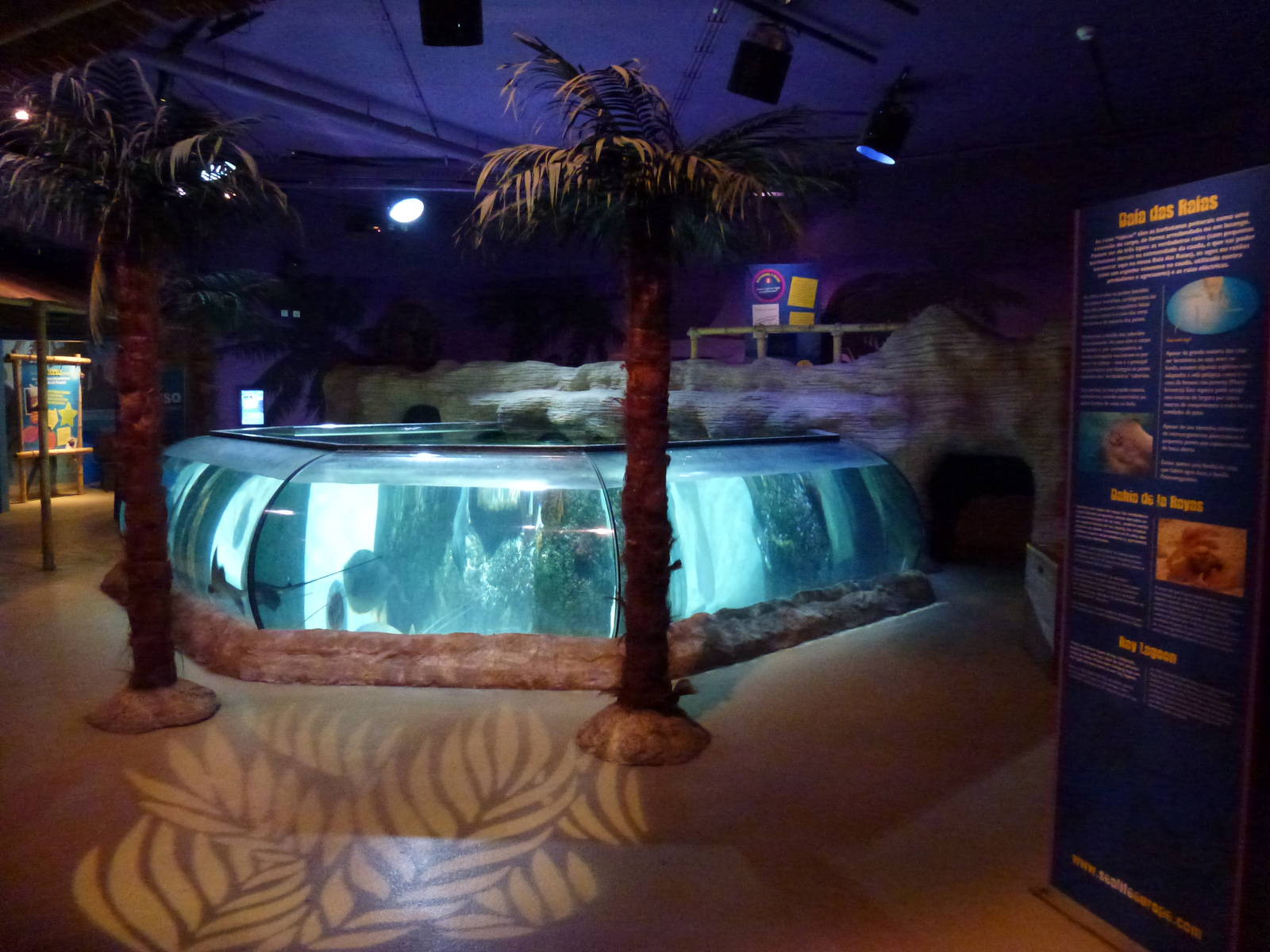 Bay of rays, November 2013.