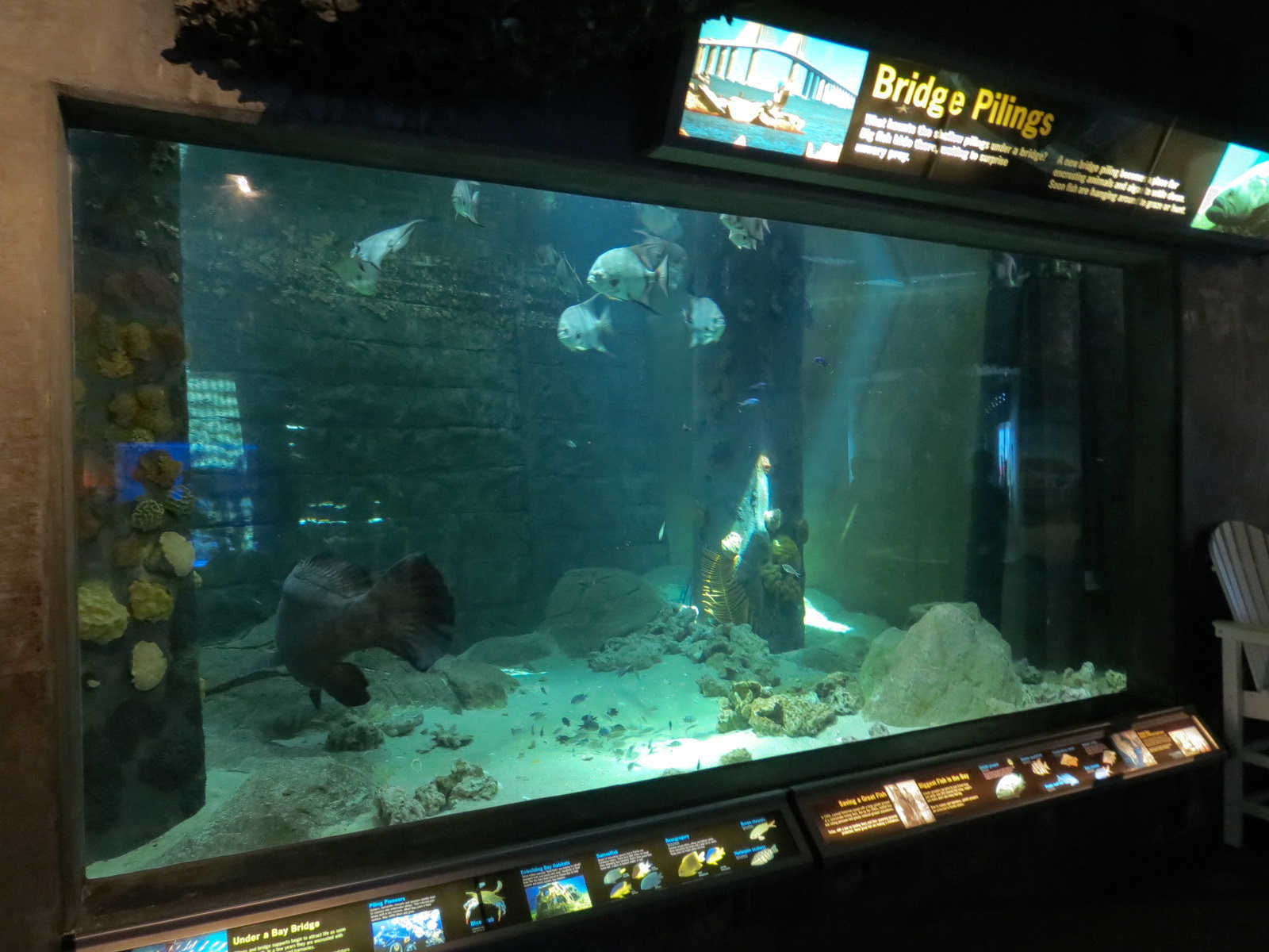 Bays & Beaches - Bridge Pilings Exhibit