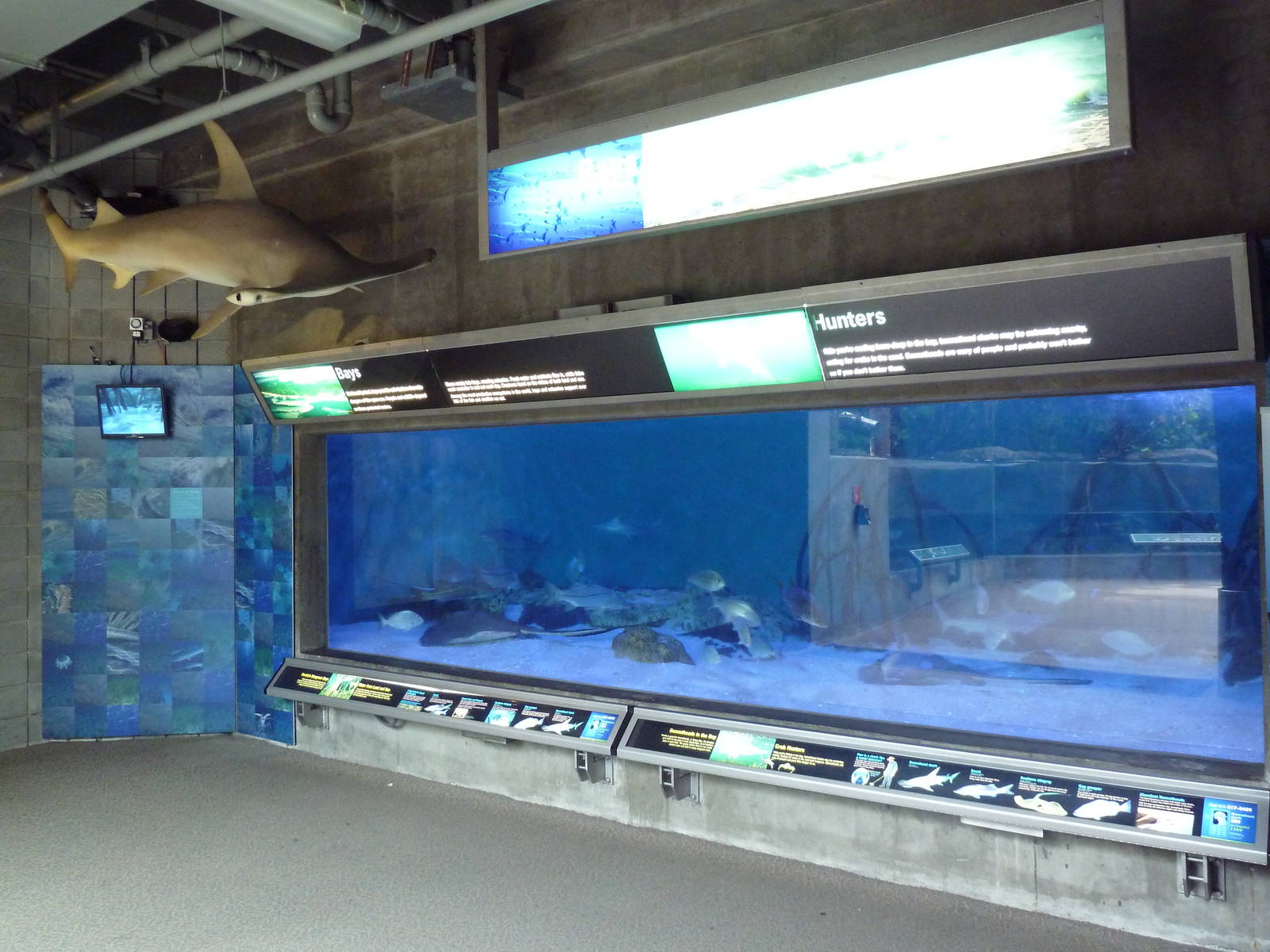 Bays + Beaches Gallery