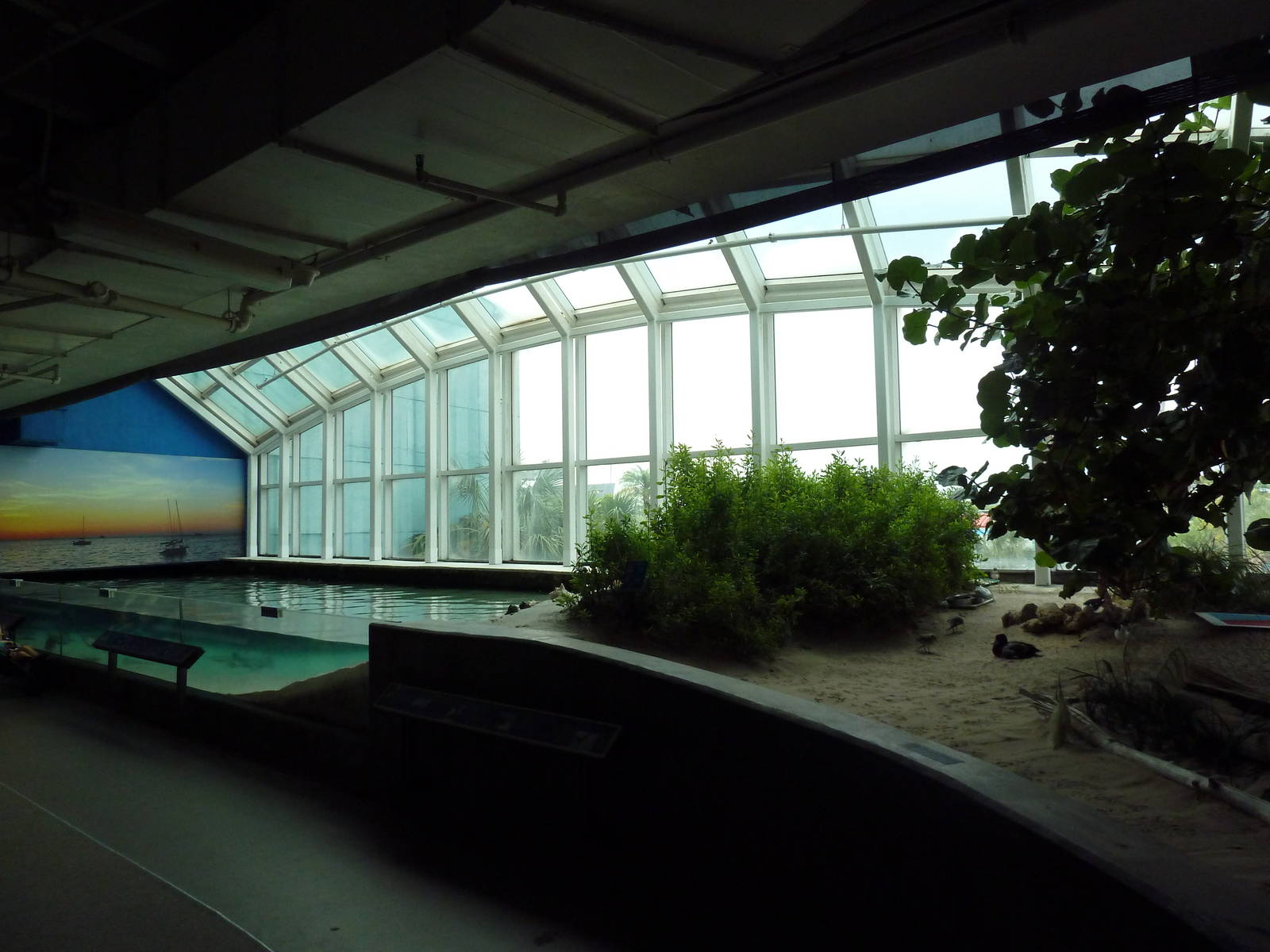 Bays + Beaches Gallery