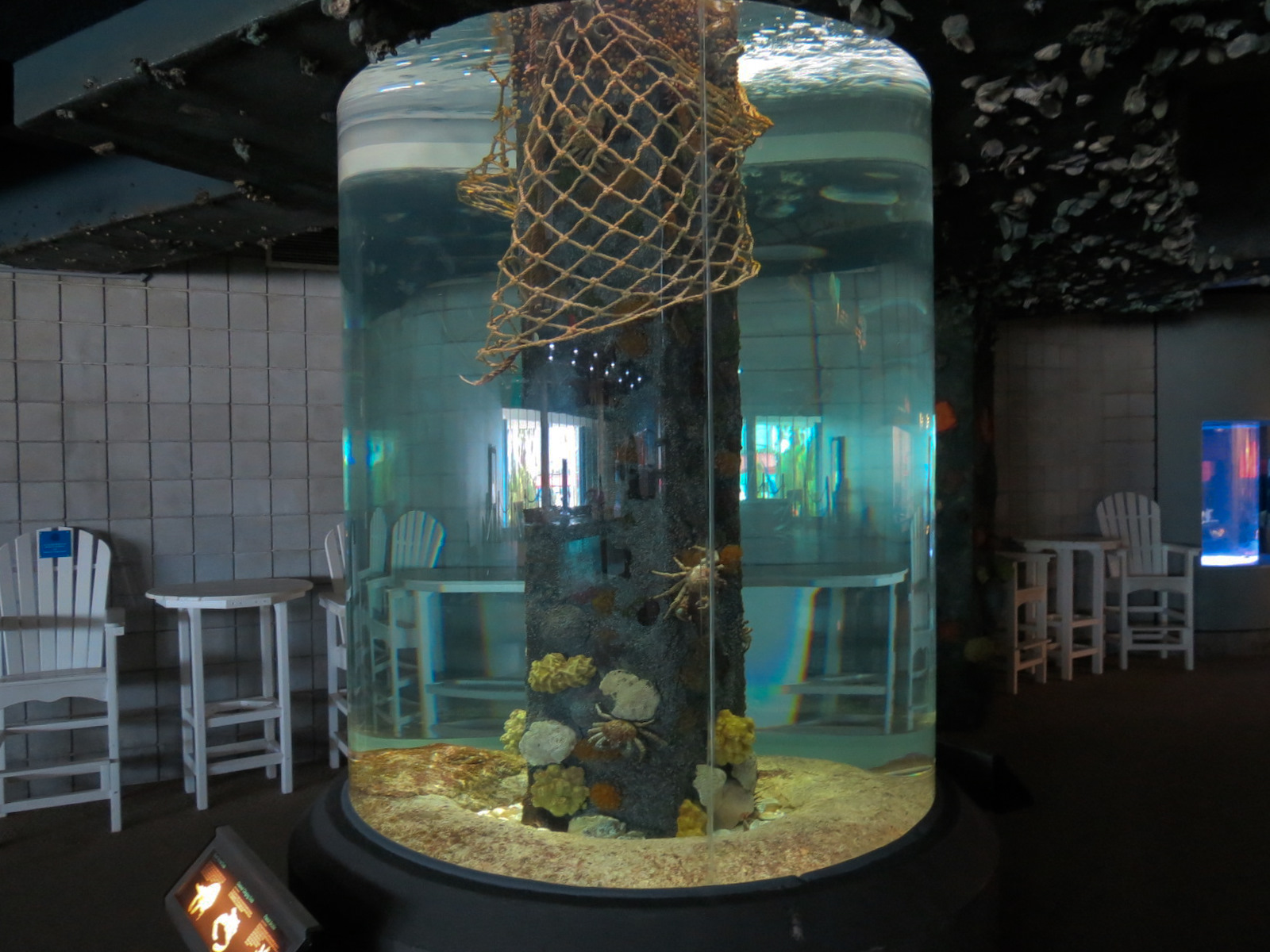 Bays & Beaches - Round Column Exhibit