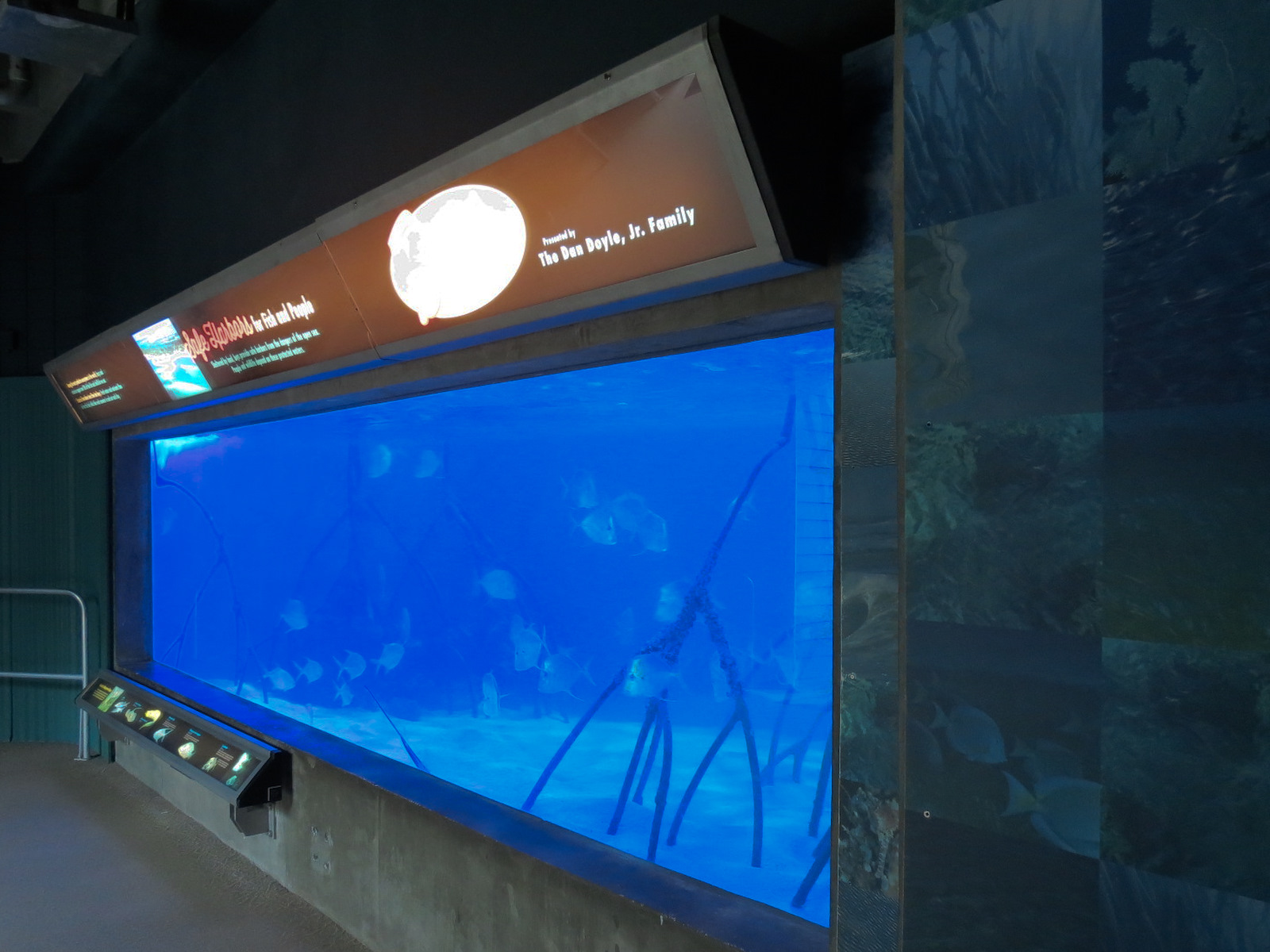 Bays & Beaches - Safe Harbors Exhibit