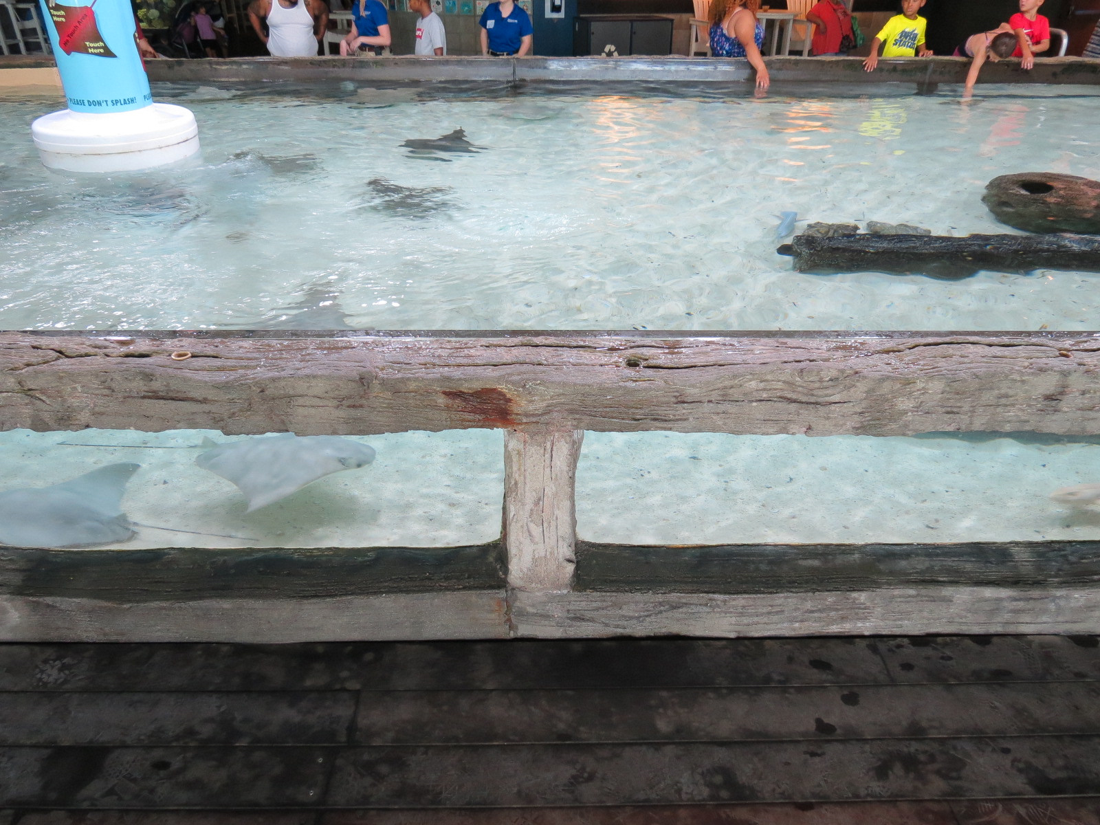 Bays & Beaches - Stingray Bay Touchtank