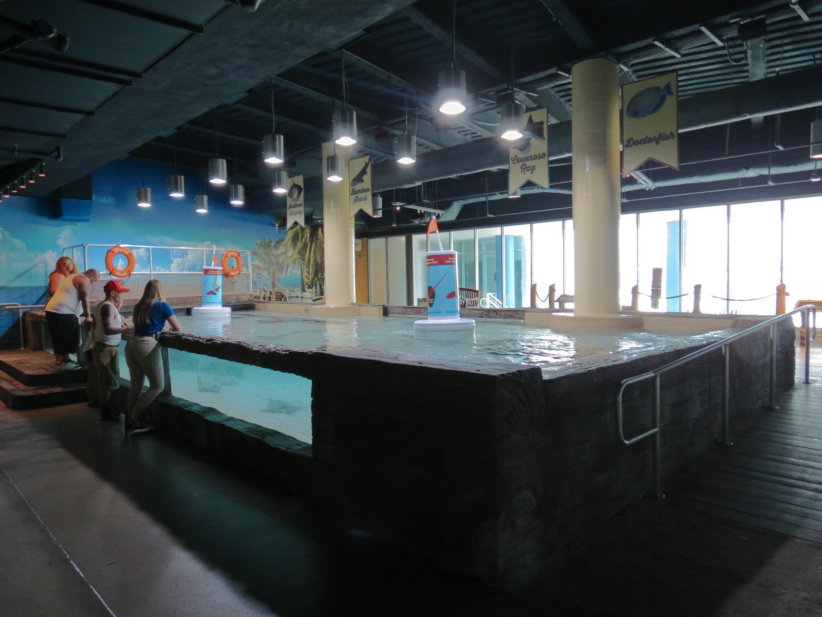 Bays & Beaches - Stingray Bay Touchtank