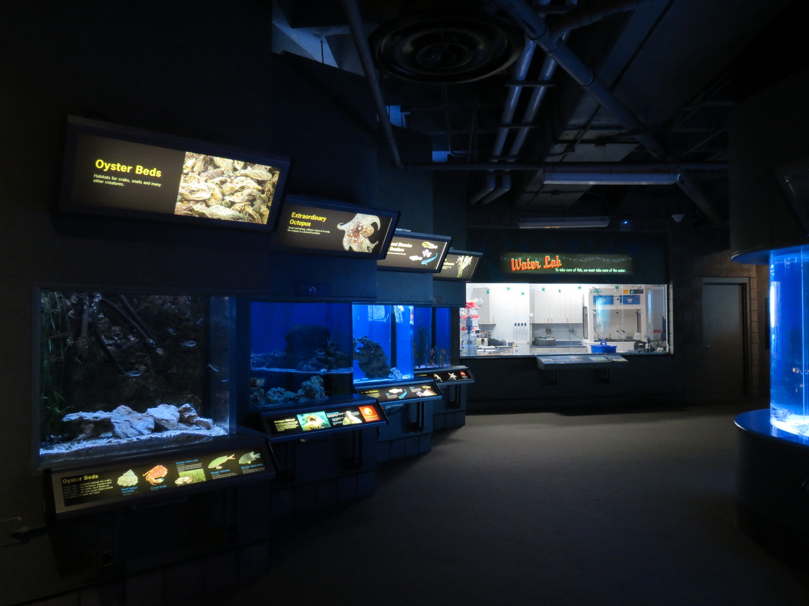 Bays & Beaches - Wall Exhibits