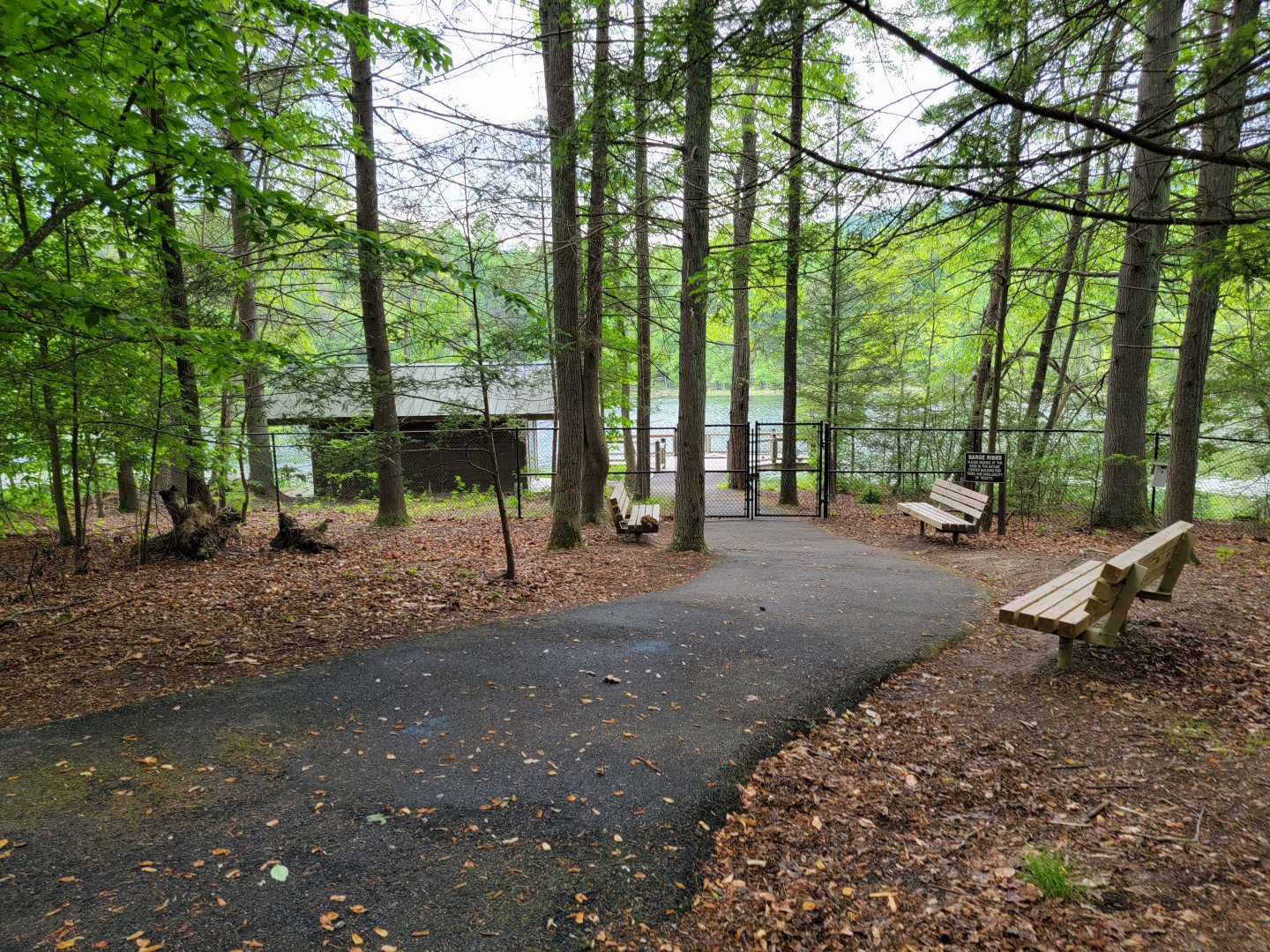 Bays Mountain - Boat launch
