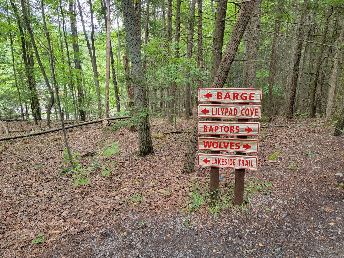 Bays Mountain - Directions