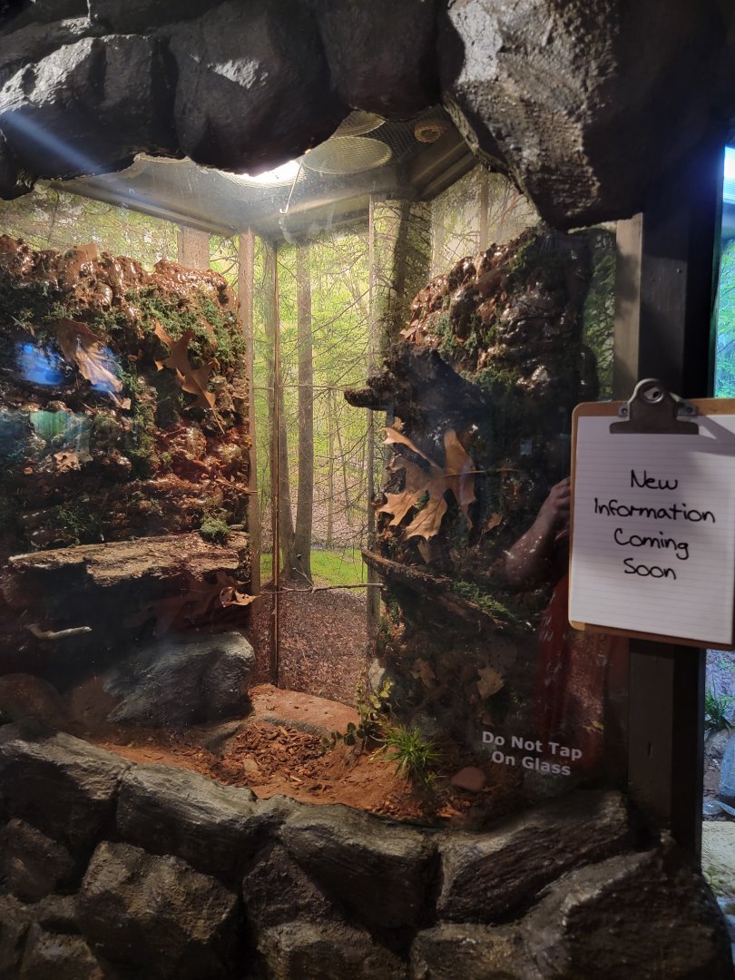 Bays Mountain - Empty