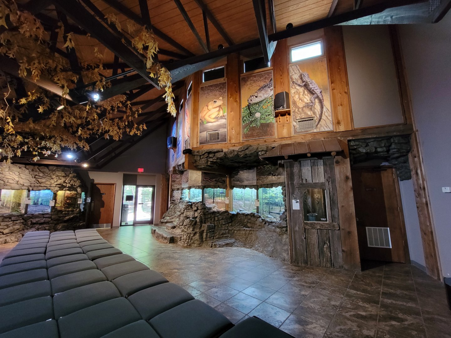 Bays Mountain - Herpetarium