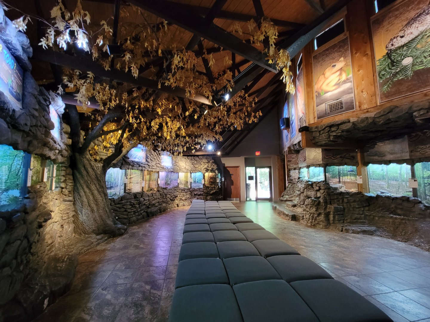 Bays Mountain - Herpetarium