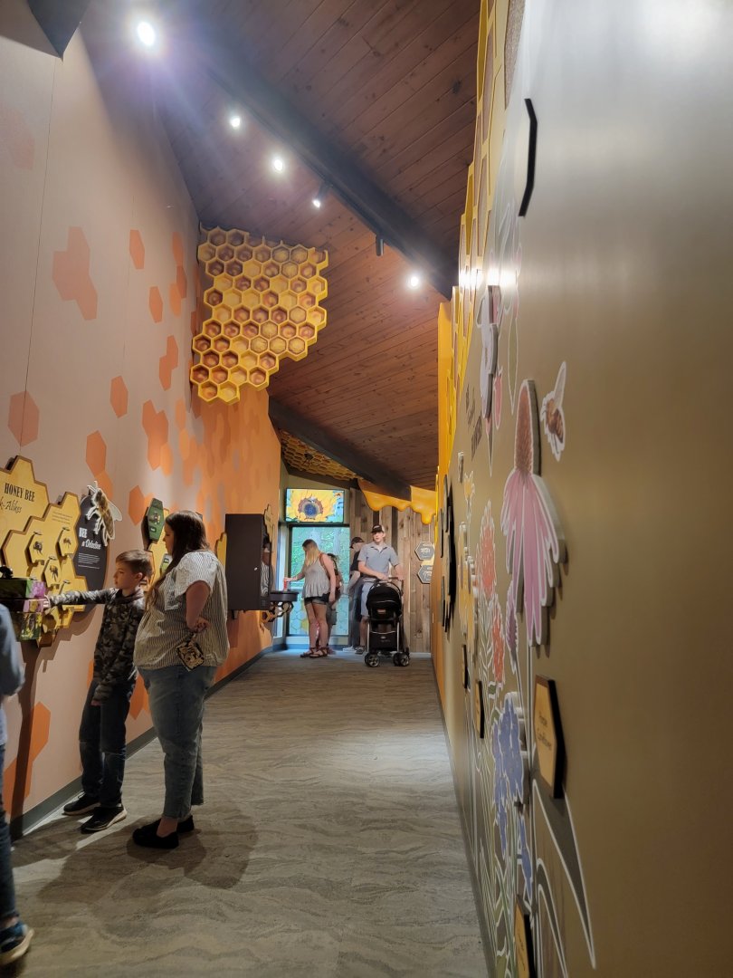 Bays Mountain - Honey bee hallway