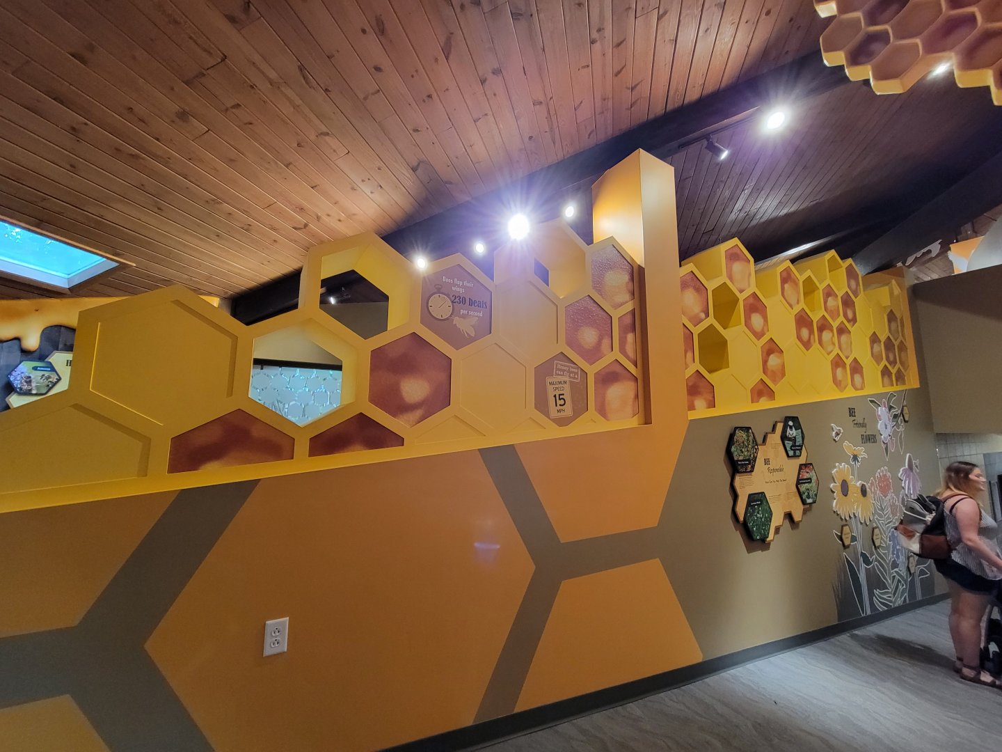 Bays Mountain - Honey bee hallway