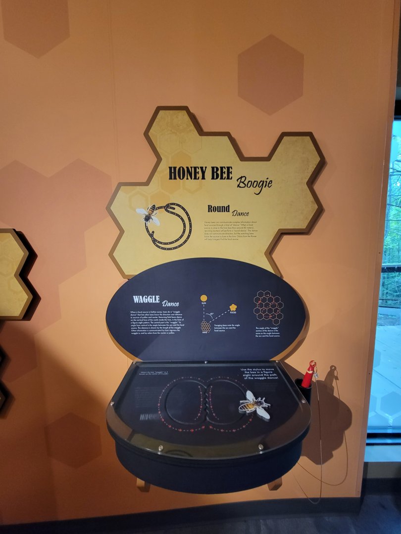 Bays Mountain - Honey bee hallway