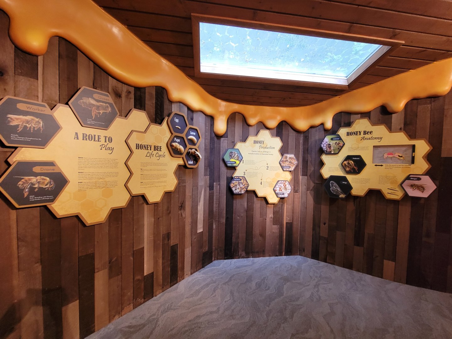 Bays Mountain - Honey bee hallway