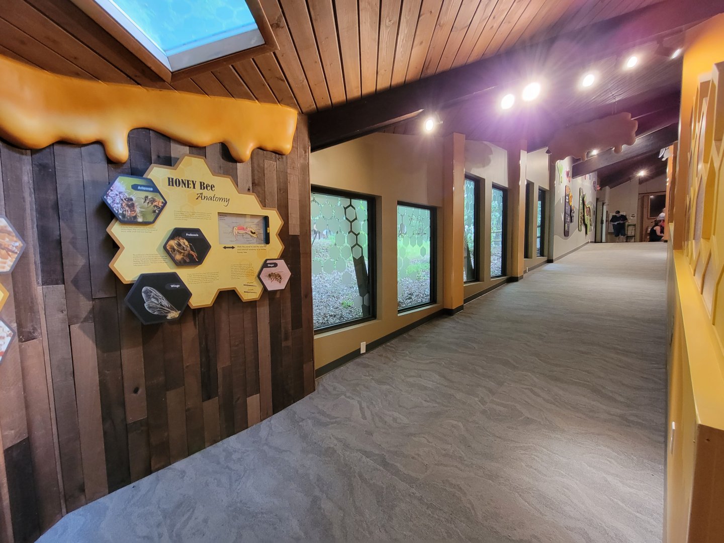 Bays Mountain - Honey bee hallway