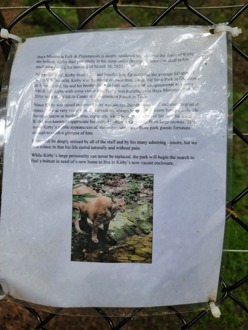 Bays Mountain - Info about bobcat recently dying