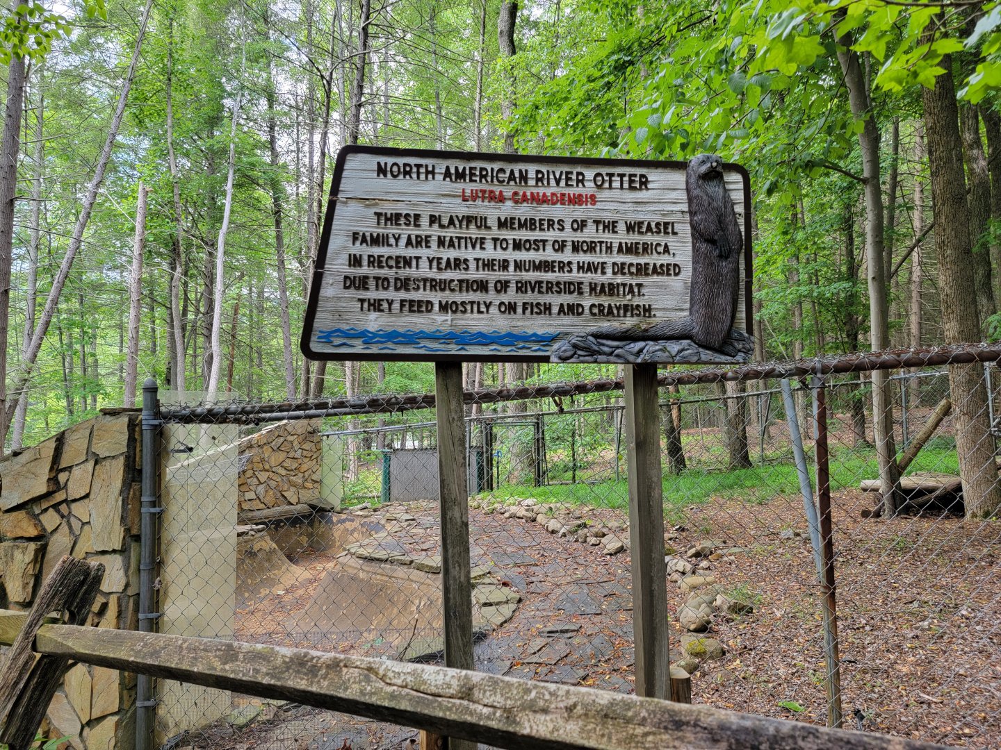 Bays Mountain - NARO sign