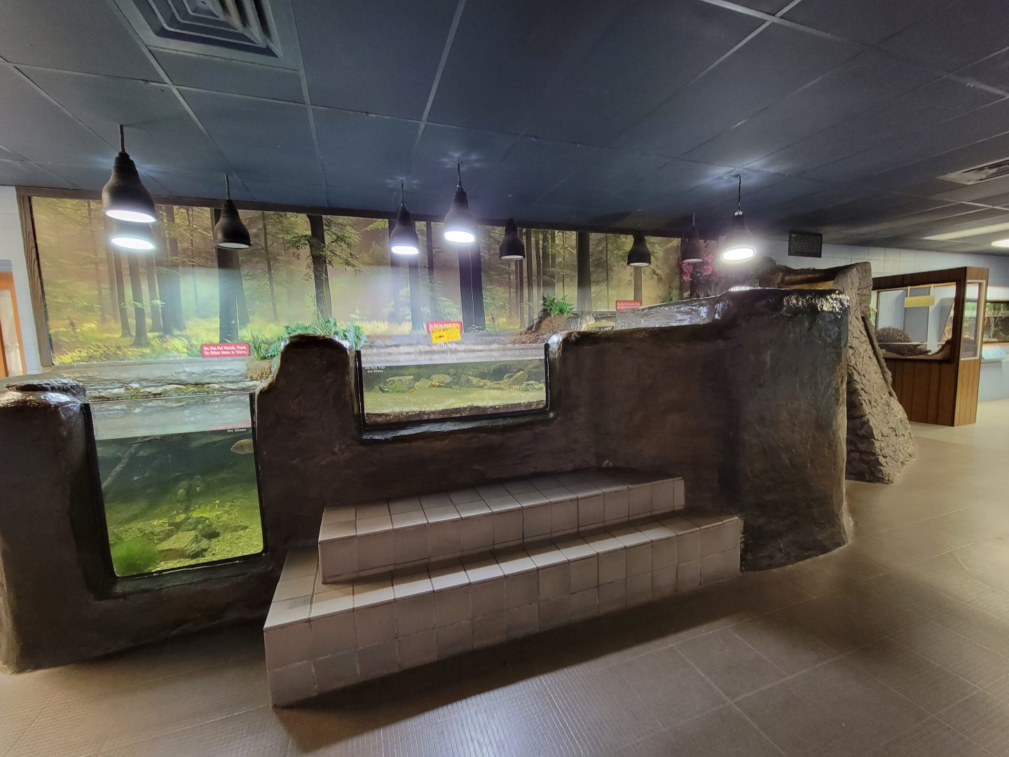 Bays Mountain - Open top fish tanks