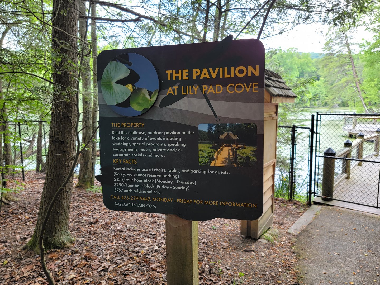 Bays Mountain - Pavilion at Lily Pad Cove