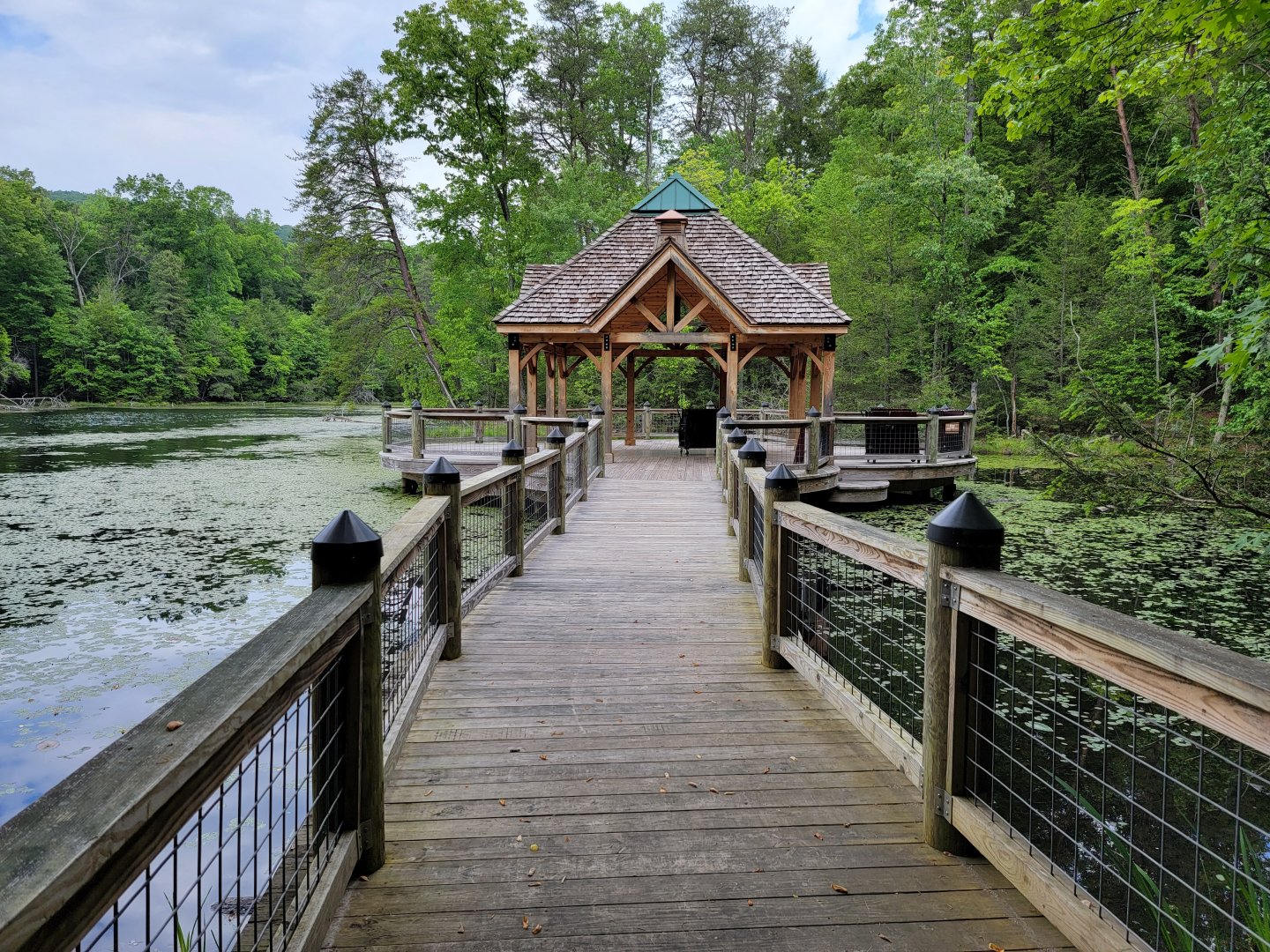 Bays Mountain - Pavilion at Lily Pad Cove
