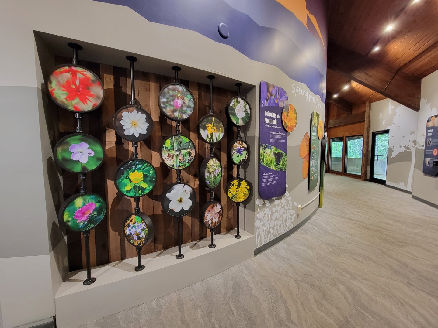 Bays Mountain - Pollinating plants