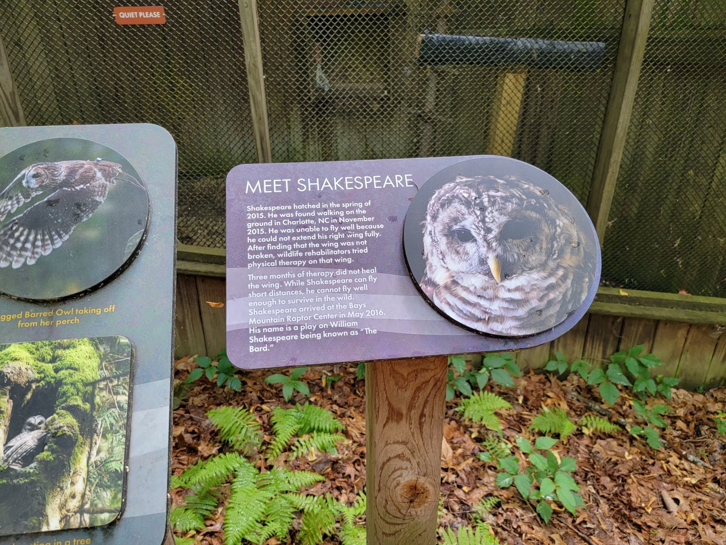Bays Mountain - Raptor center, example of individual signage