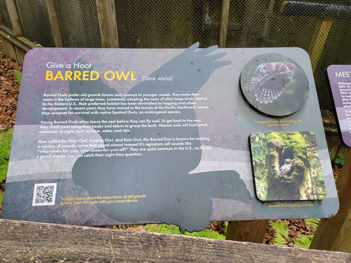 Bays Mountain - Raptor center, example of signage