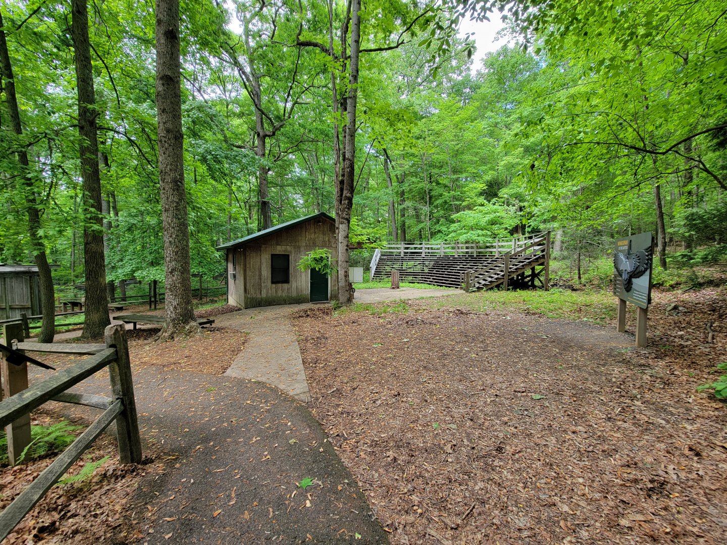 Bays Mountain - Raptor center second ampitheater