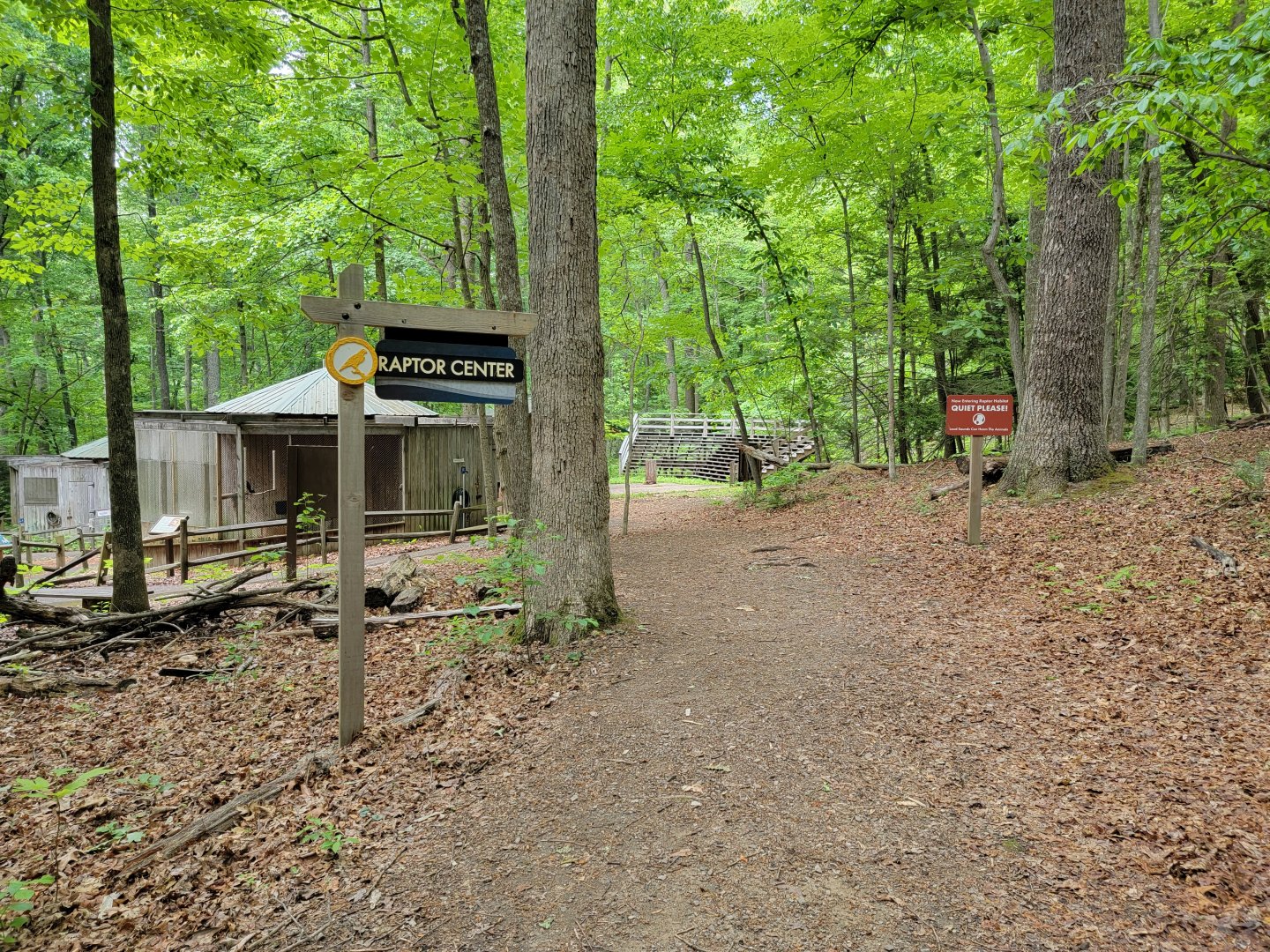 Bays Mountain - Raptor center