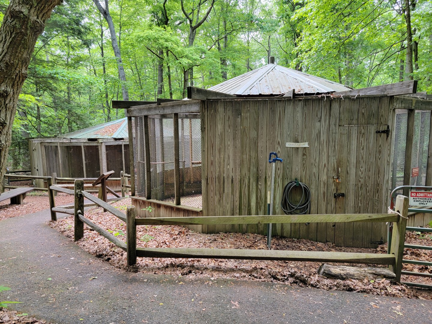 Bays Mountain - Raptor center