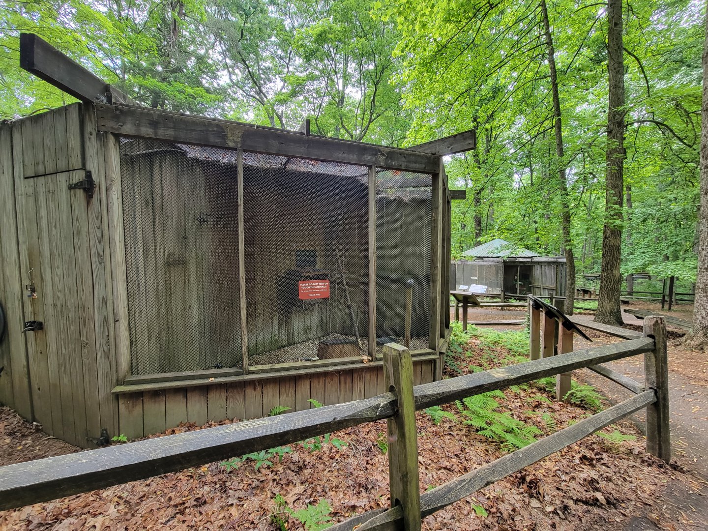 Bays Mountain - Raptor center