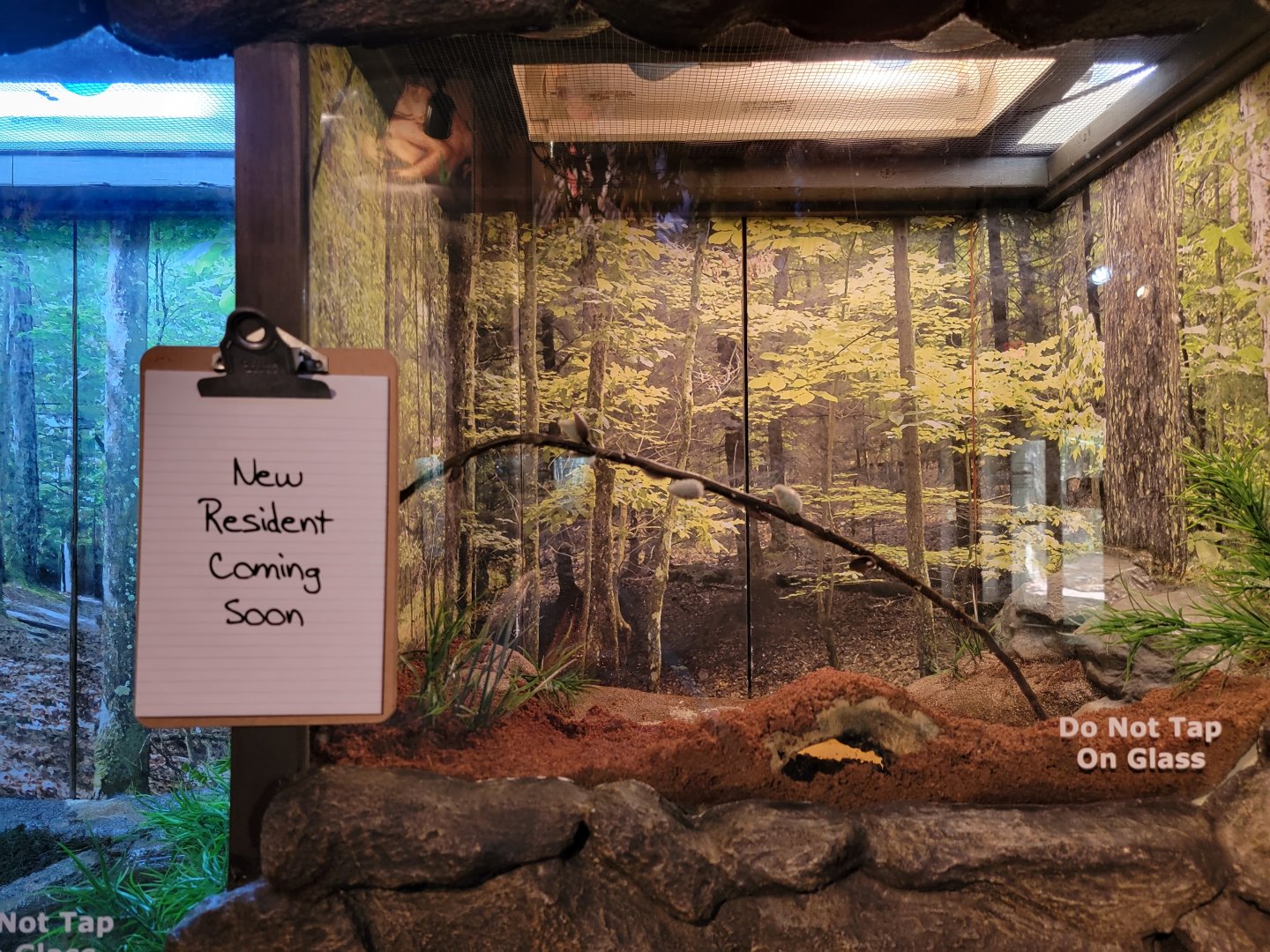 Bays Mountain - Resident coming soon