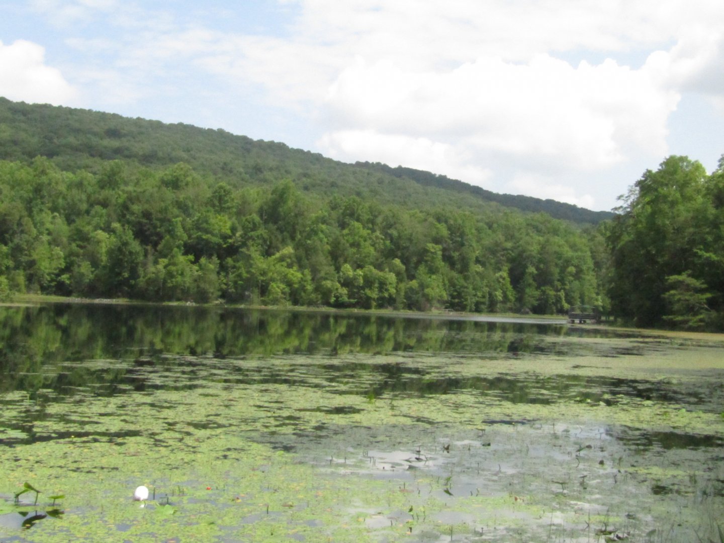 Bays Mountain Scenery