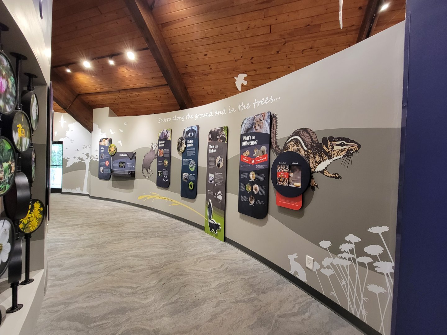 Bays Mountain - Small mammals